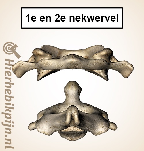 eerste en tweede nekwervel c1 en c2